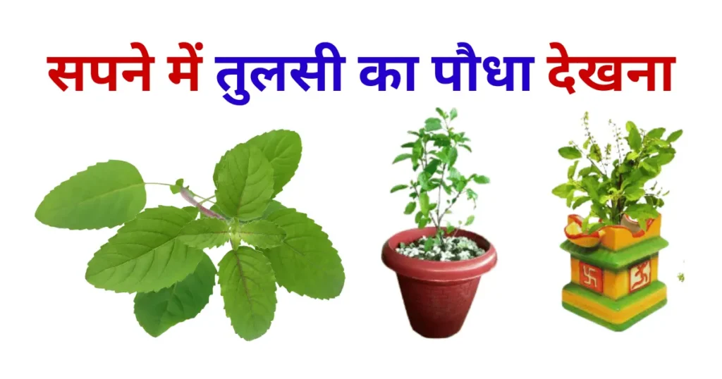 Sapne Me Tulsi Ka Paudha Dekhna