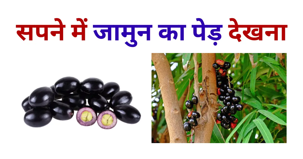 Sapne Me Jamun Ka Ped Dekhna